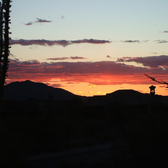 Meet Your Posher! - Picture 3 of 4